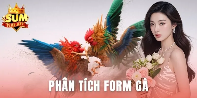 Phân Tích Form Gà